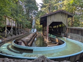 Big Timber Log Ride