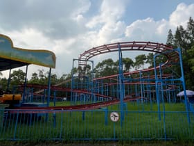 Pine Forest Flying Mouse