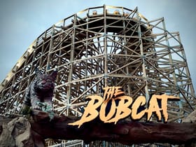 Bobcat