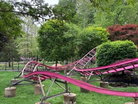 Bubbles The Coaster