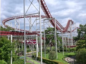 Camel Coaster