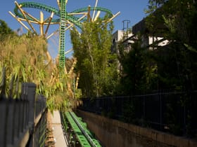 Cheetah Hunt