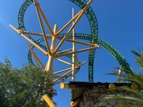 Cheetah Hunt