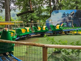 Dino-Roller Coaster