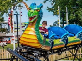 Dragon Coaster