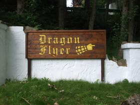 Dragon Flyer