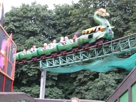 Dragon Flyer