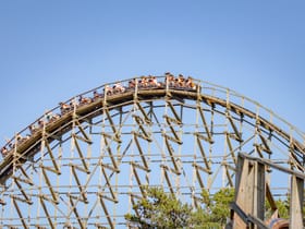 El Toro