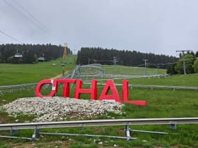 O'thal Coaster