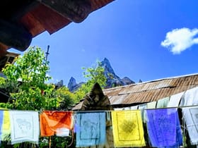 Expedition Everest