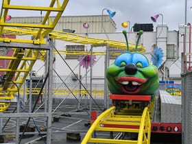 Family Roller Coaster