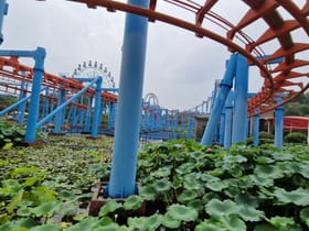 Flying and Floating Over the Clouds and Water