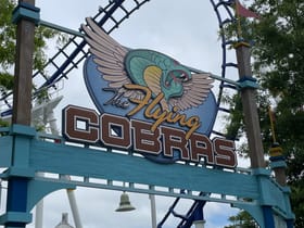 Flying Cobras