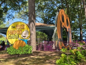 Great Pumpkin Coaster