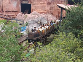 Gold Mine Train