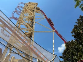Hollywood Rip, Ride, Rockit