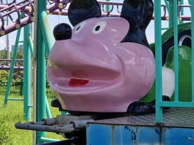 Jungle Roller Coaster