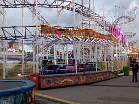 Tattoo / Infinity Coaster