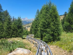 Luge Molines Sensation