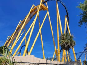 Montu