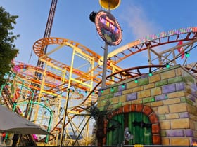 Wilde Maus (lifthill left)