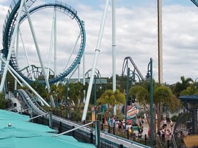 Pipeline the Surf Coaster