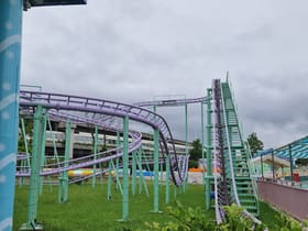 Jungle Flying Squirrel