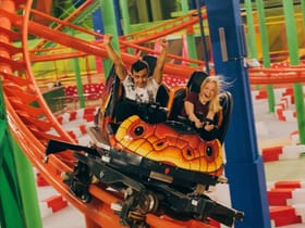 Roller Coaster
