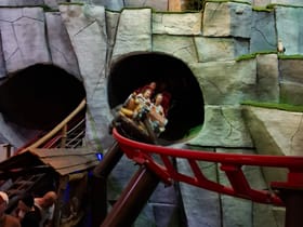 Rollercoaster Wikingów