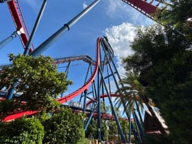 SheiKra