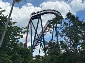 SheiKra