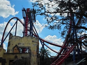 SheiKra