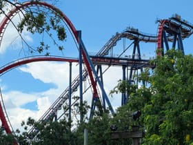 SheiKra