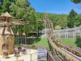 Shirakaba Wood Coaster