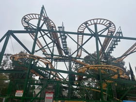 Sidewinder Safari