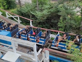 American Eagle (Blue)