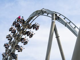 Swarm