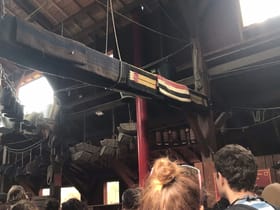 Tiger Express