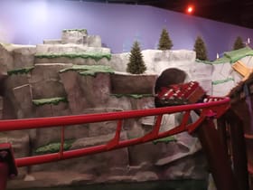 Vic's Roller Coaster