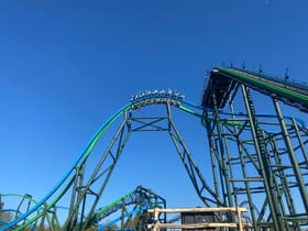 YoY (Thrill - Green)