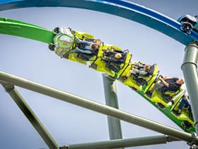 YoY (Thrill - Green)