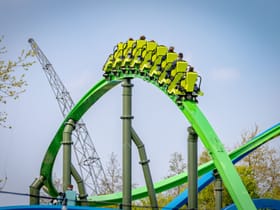 YoY (Thrill - Green)