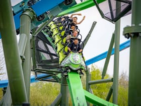 YoY (Thrill - Green)