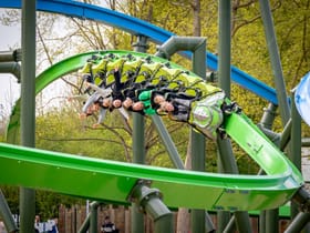 YoY (Thrill - Green)