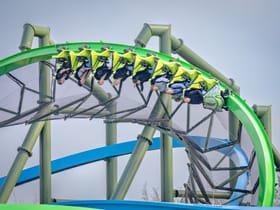 YoY (Thrill - Green)