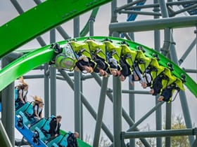 YoY (Thrill - Green)