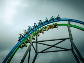 YoY (Thrill - Green)