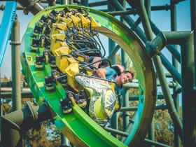 YoY (Thrill - Green)