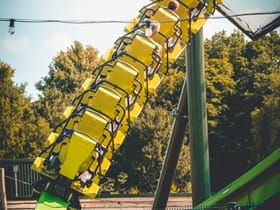 YoY (Thrill - Green)