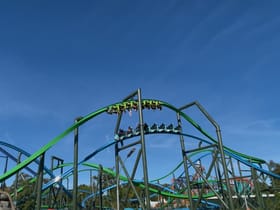 YoY (Thrill - Green)